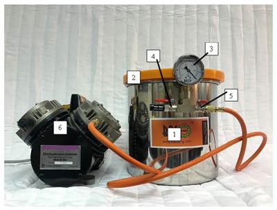 Validation of vacuum extraction protocol for larval sampling of spotted-wing drosophila in blueberries